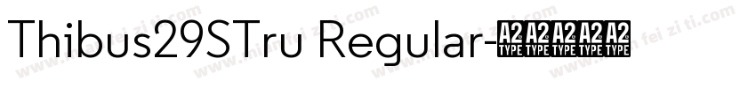 Thibus29STru Regular字体转换